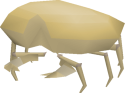 Sand Crab.png